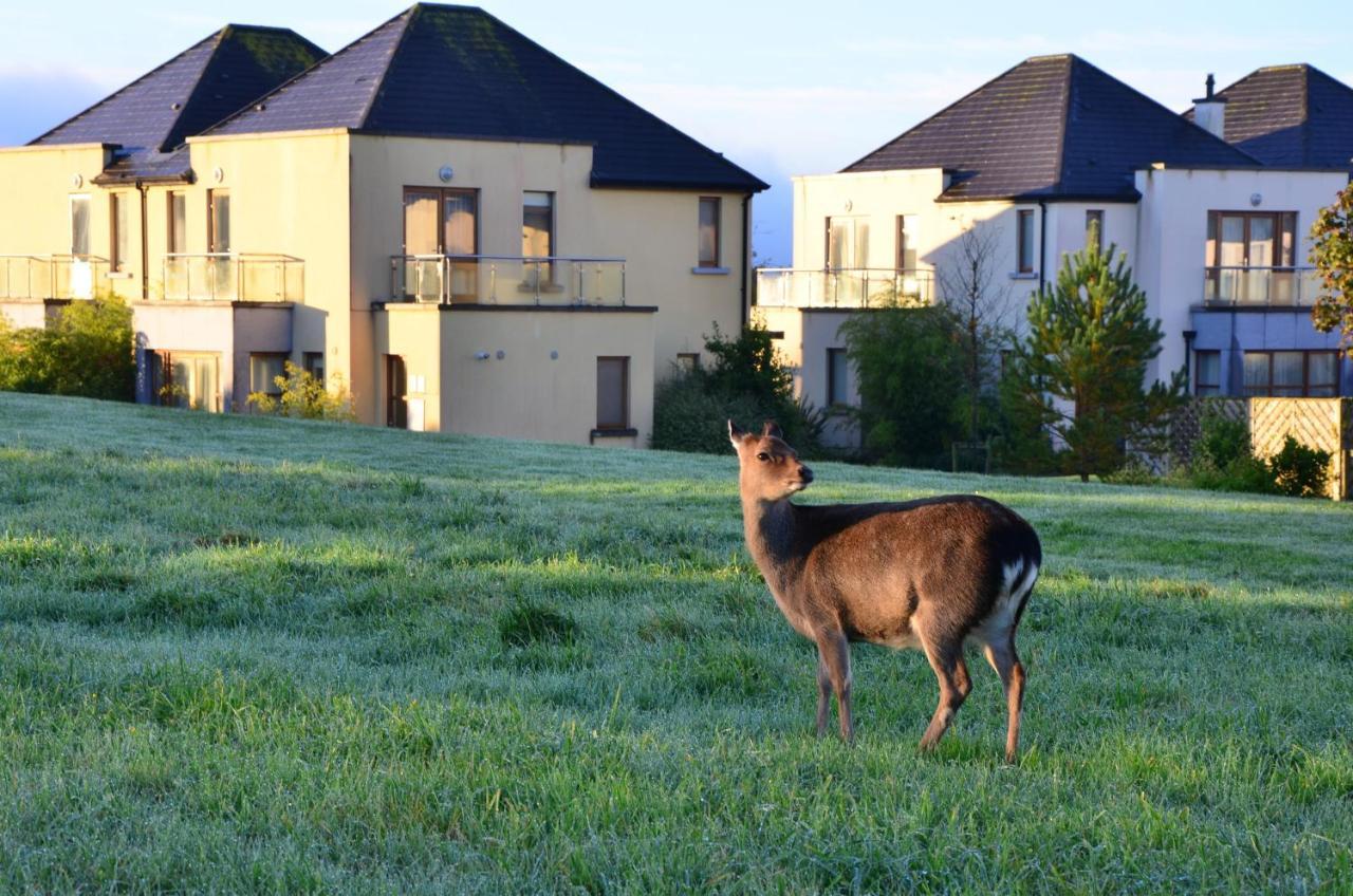 Waterford Castle Hotel & Golf Resort Ballinakill  Luaran gambar